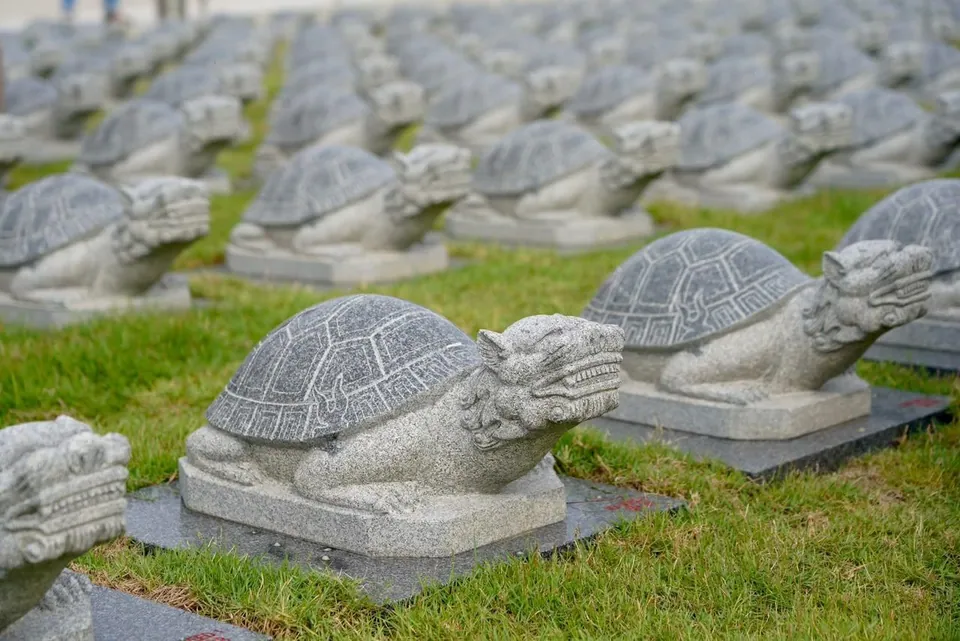 龙龟生基实拍：草坪上一排排石雕龙龟，龟背刻着花纹